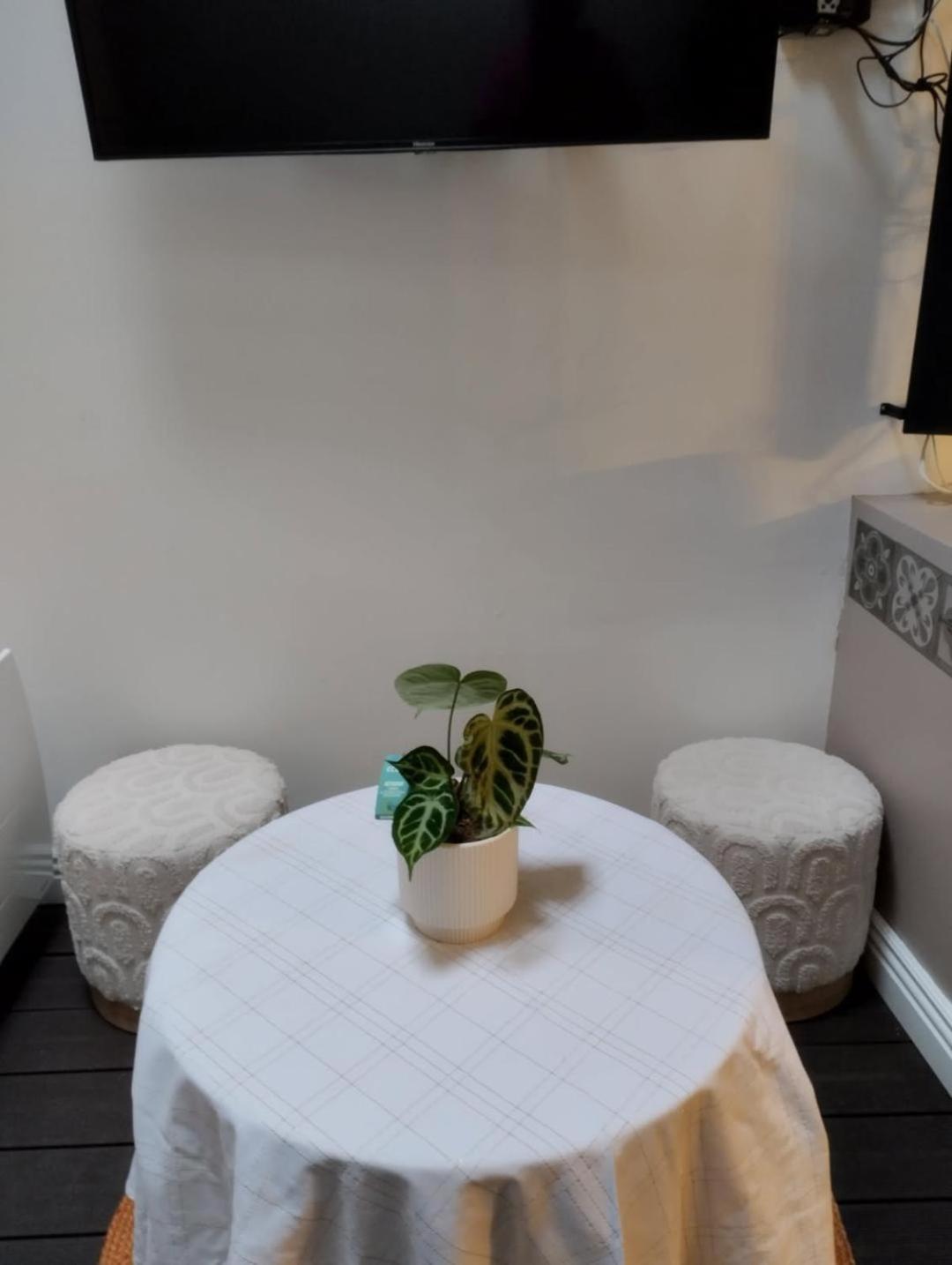 Ideal Vieille Ville De Boulogne La Boulonnaise ! Eksteriør bilde